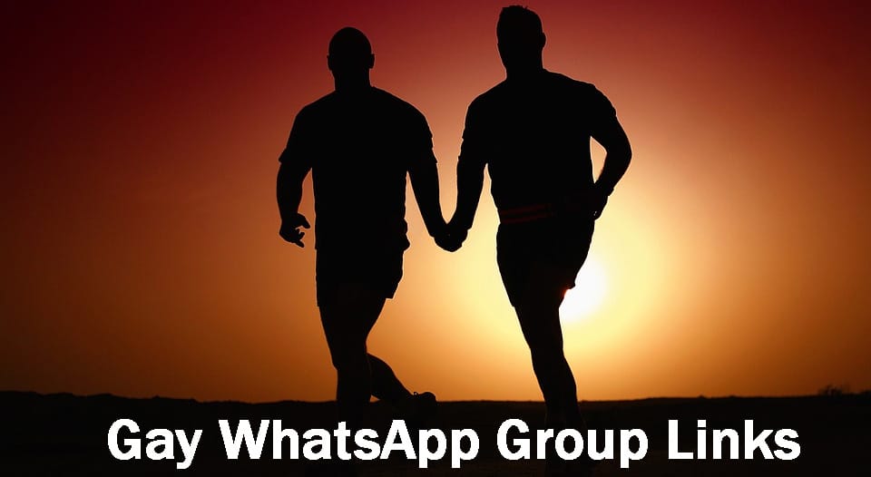Gay WhatsApp Group Link