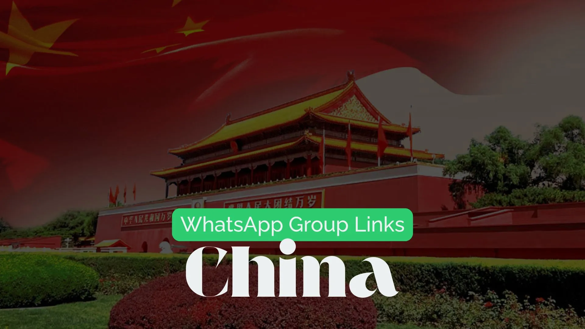 China WhatsApp Group Links